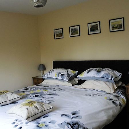 Bro Dafydd Bed & Breakfast Aberystwyth Exterior foto